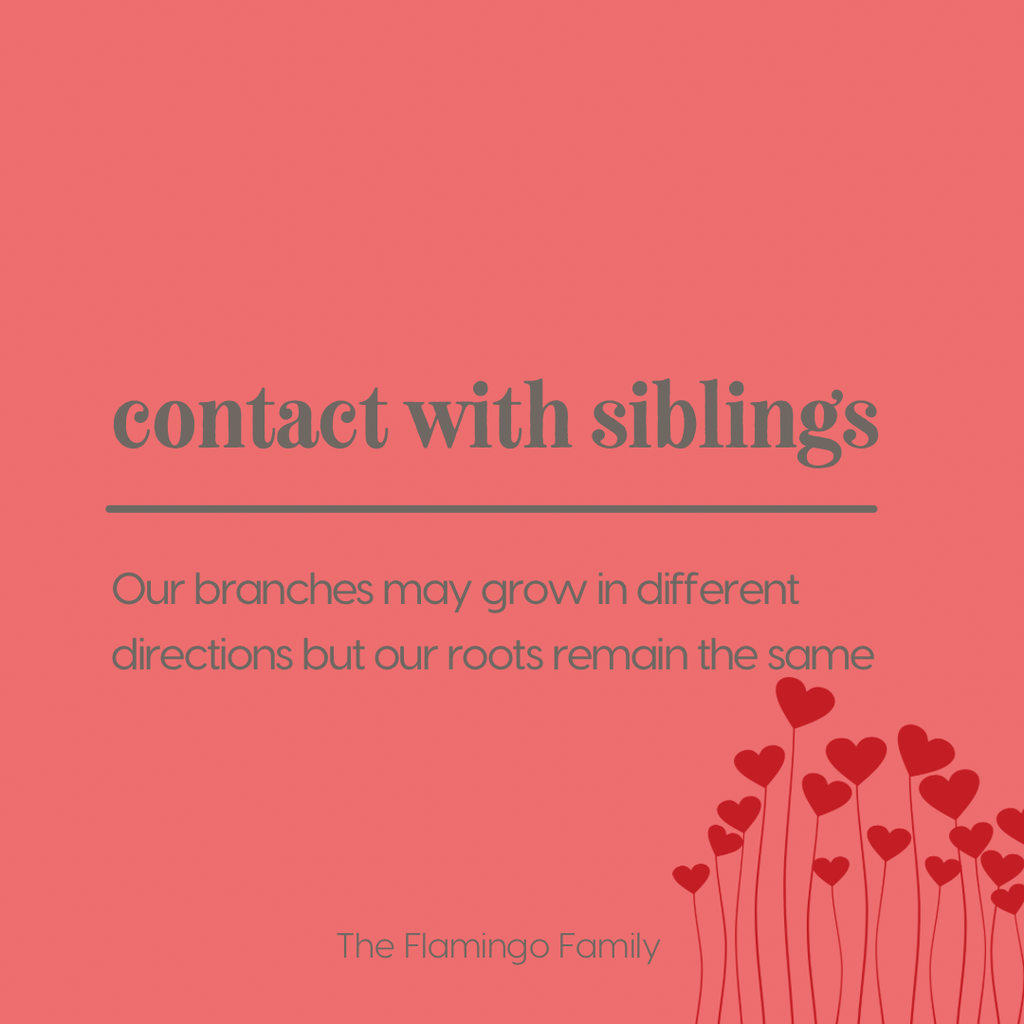 Contact with siblings