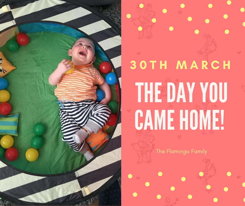 The day our son came home!